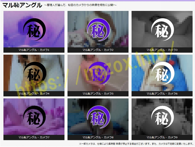 マル恥アングルカメラ